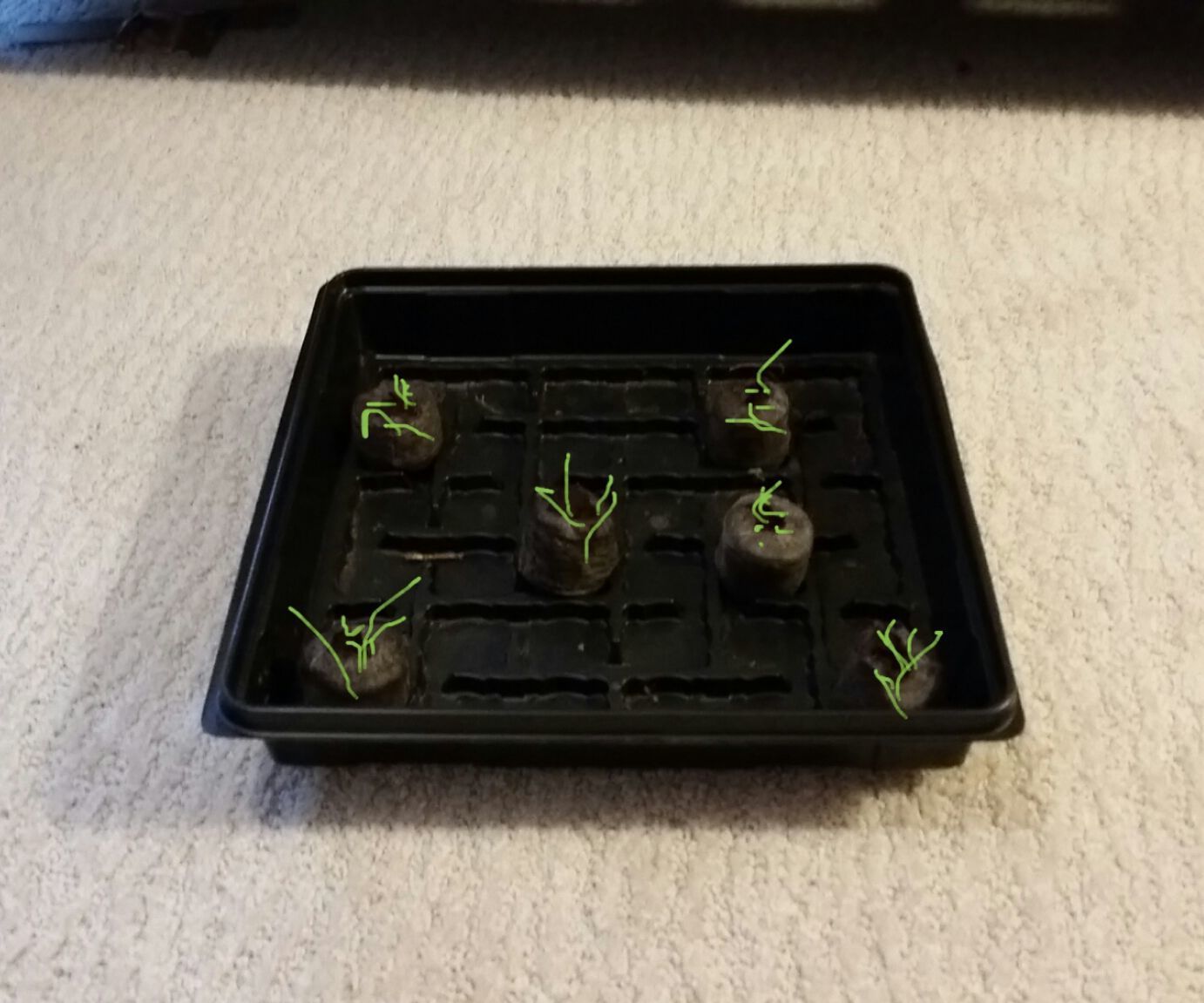 How to grow a farm from a vegitable for free