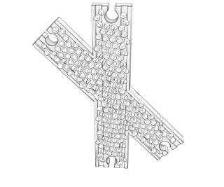 download {{ file.name }}