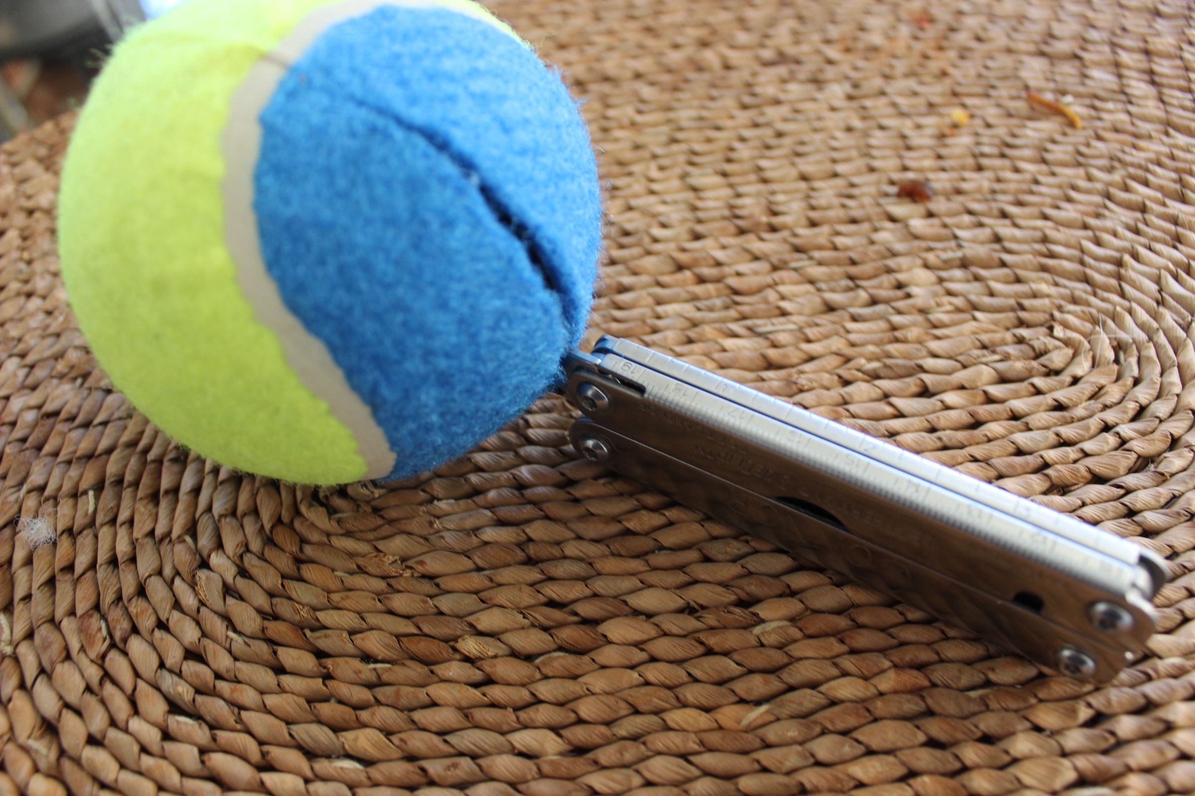 3 Light Up Dog Toy 6 Steps (with Pictures) Instructables