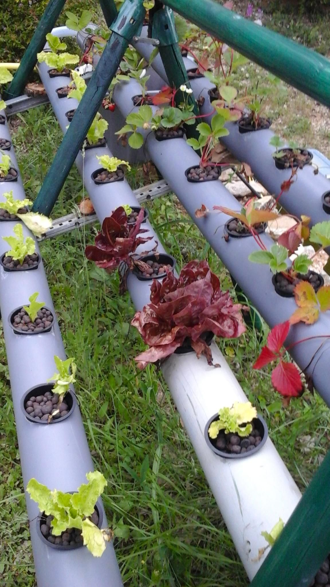Autonomous PVC Hydroponic Garden From an Old AFrame Metal Swing 9