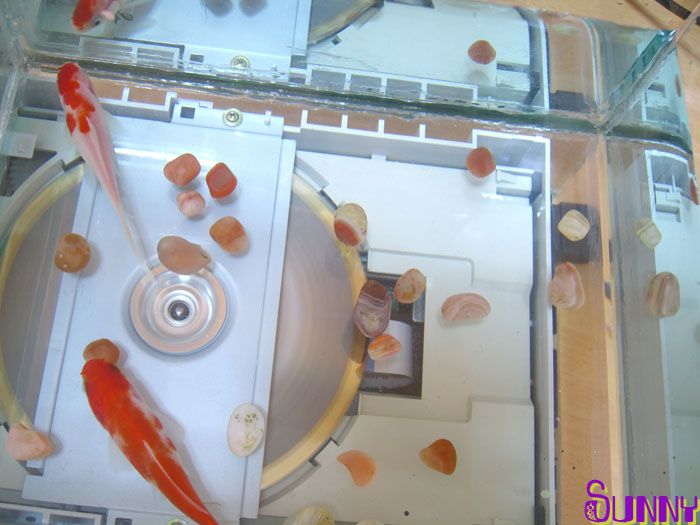 Fish Tank CD Player
