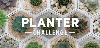 Planter Challenge