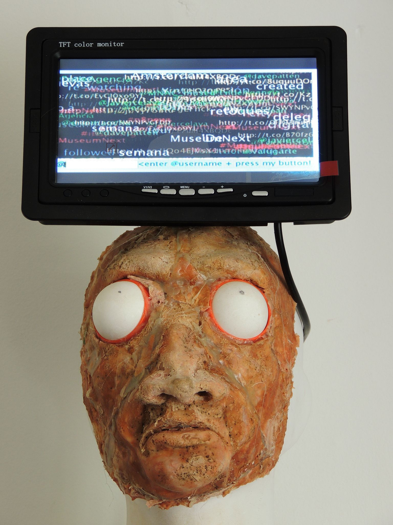 Psychic Fortune Teller - an Automaton That Reads the Mind of Twitter