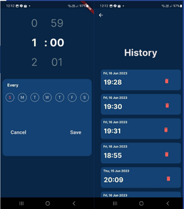 Flutter Application Design
