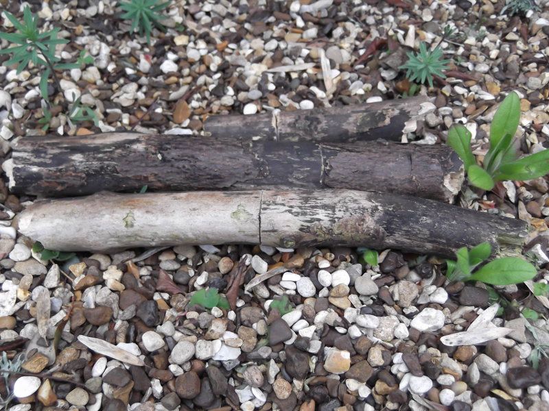Make a Geocache Log