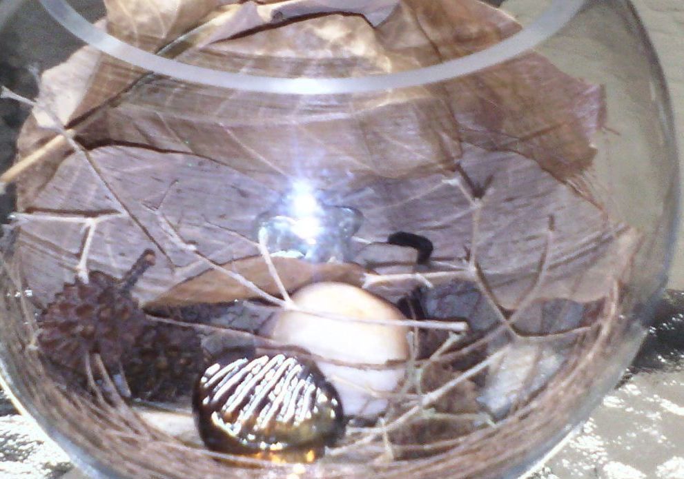 Earthy Coffee Table Centre Piece