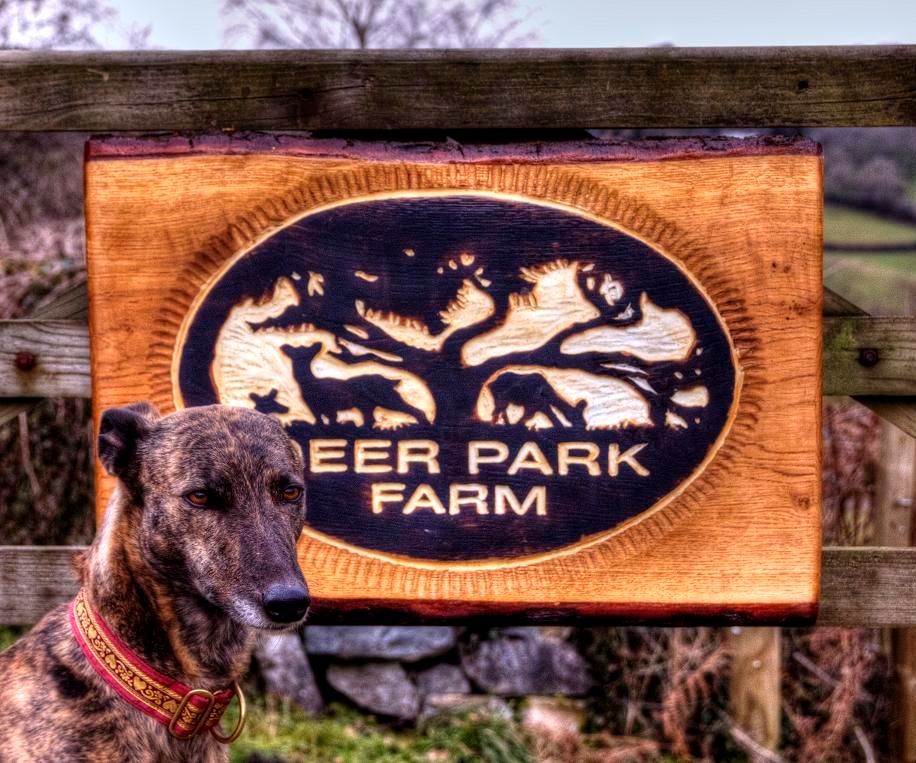 Carving House Signs With the Arbortech Power Chisel