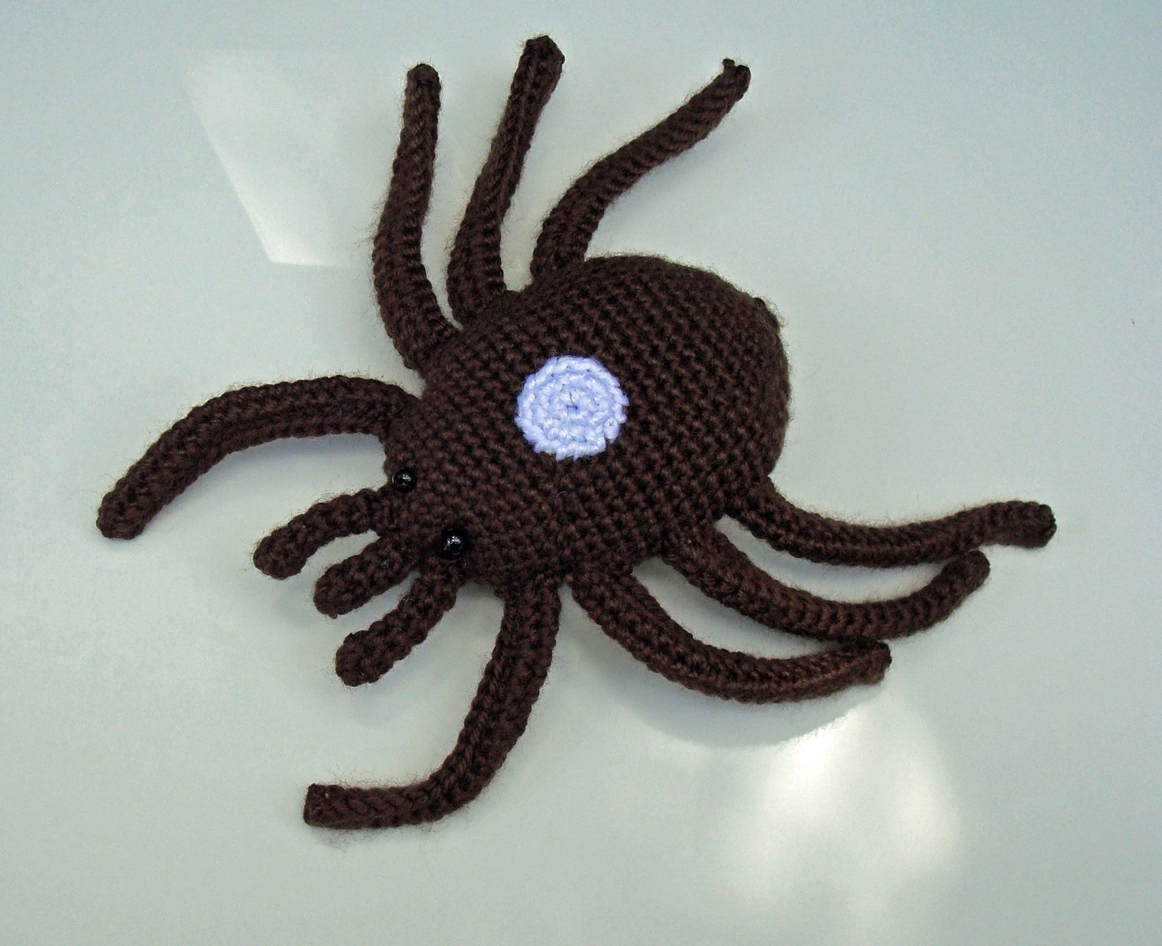 Female Lone Star Tick