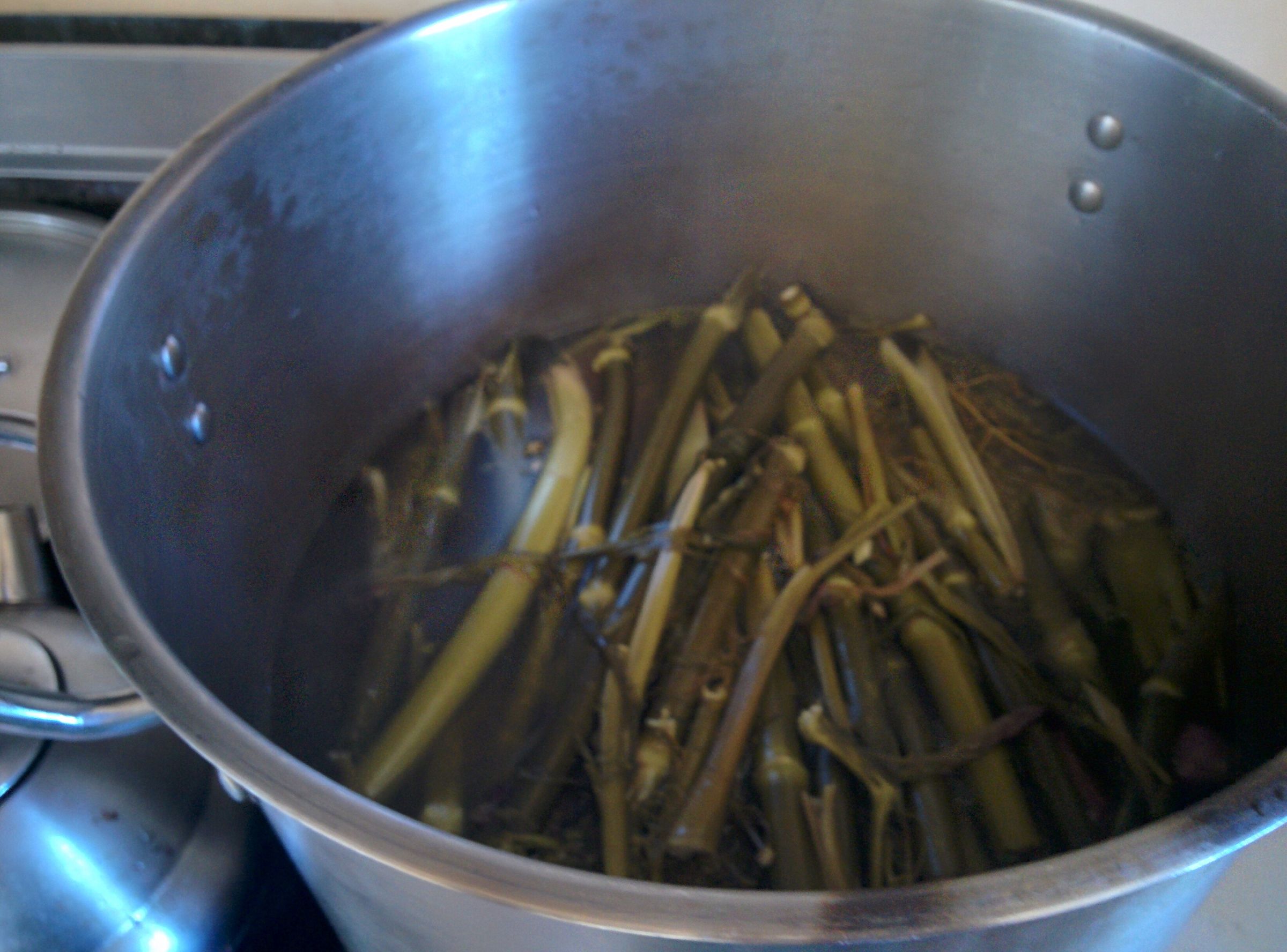 Fennel Stalk Soup Stock 3 Steps Instructables