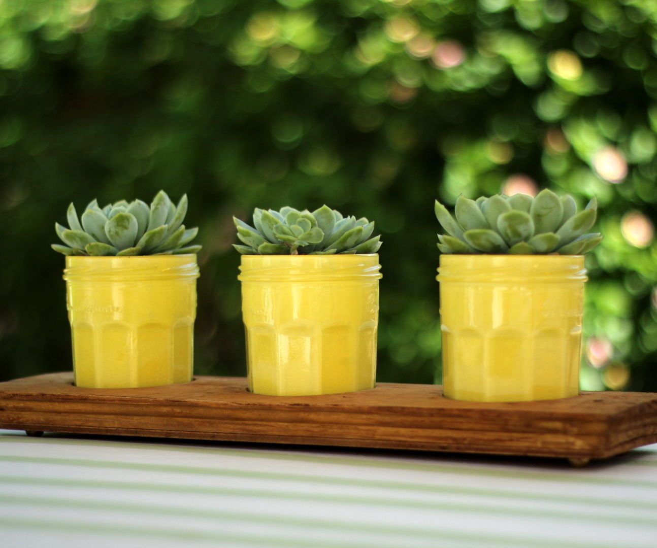 Mason Jar Planters With Reclaimed Wood Base
