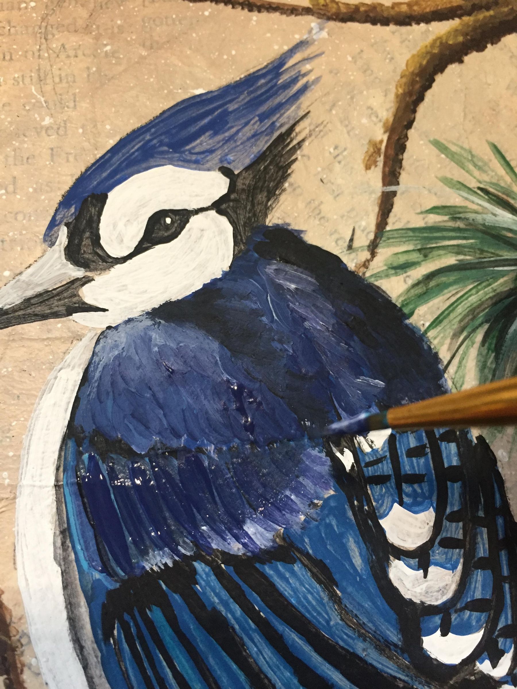 How to Paint a Blue Jay on a Branch. 13 Steps (with Pictures
