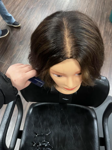 Section Down the Middle