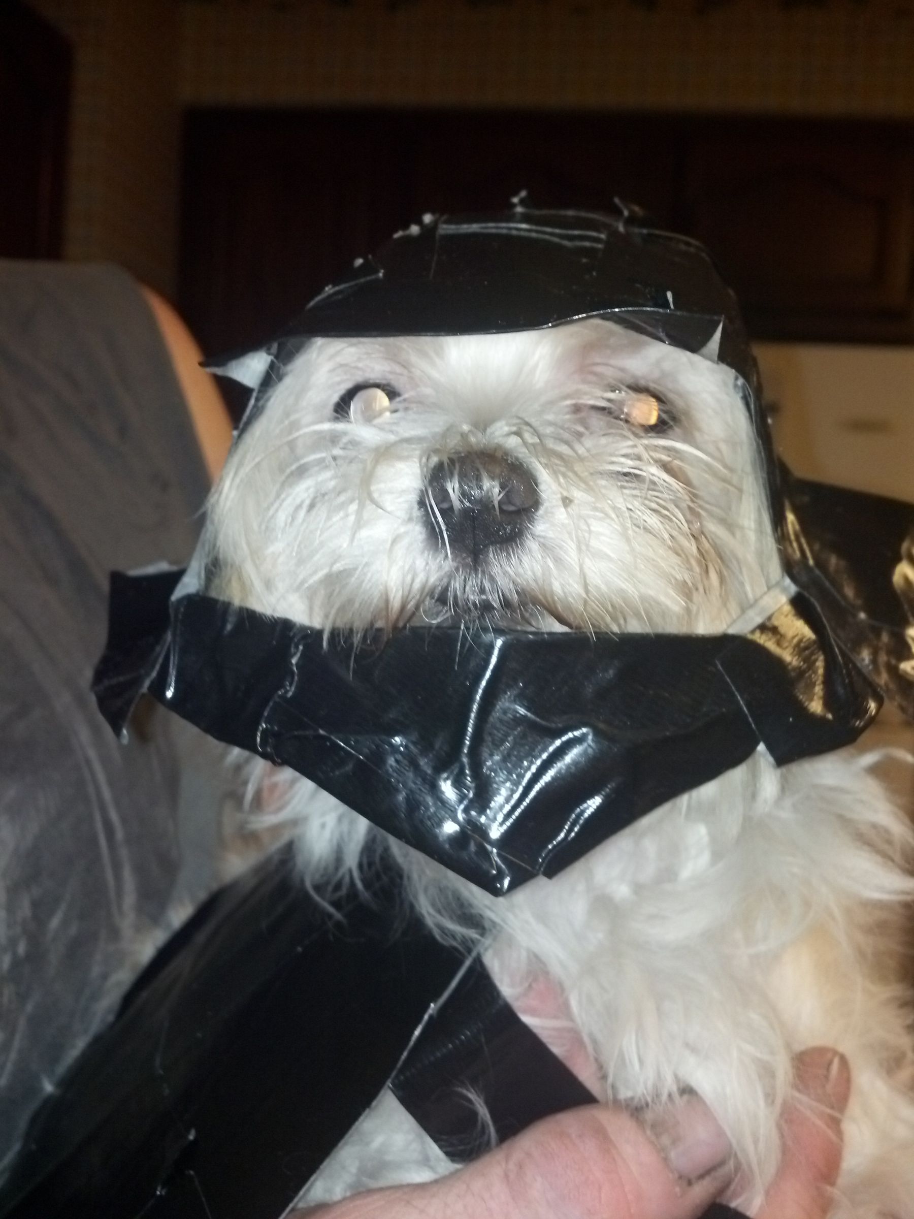 Darth Vader Duct Tape Doggy Costume 
