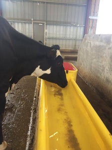 Milking Complete 