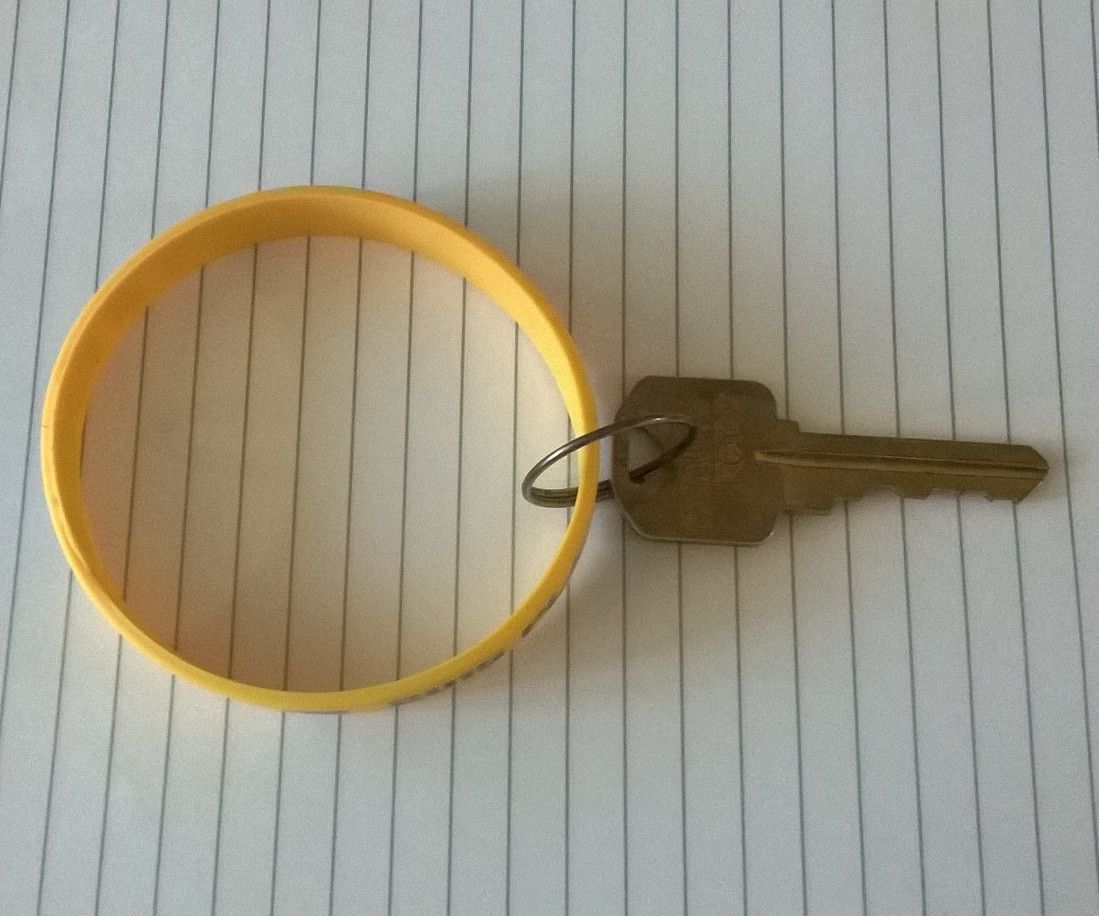 Wristband Key Fob (coil Key Ring Replacement for Cheap)