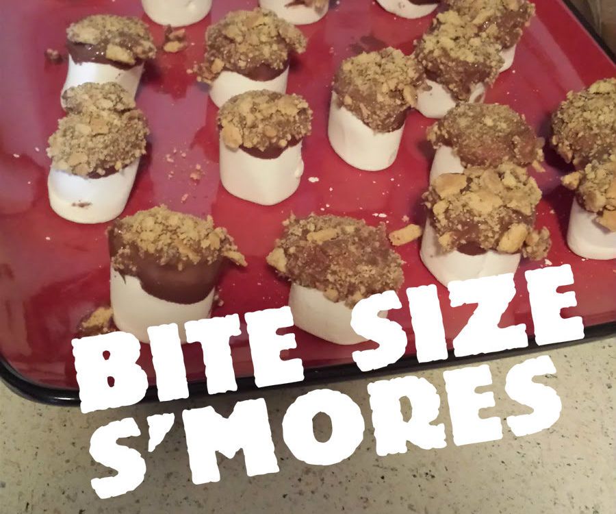 Bite Sized S'mores