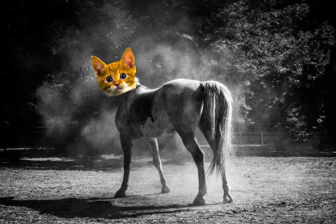 2-step Rubber Band Gun