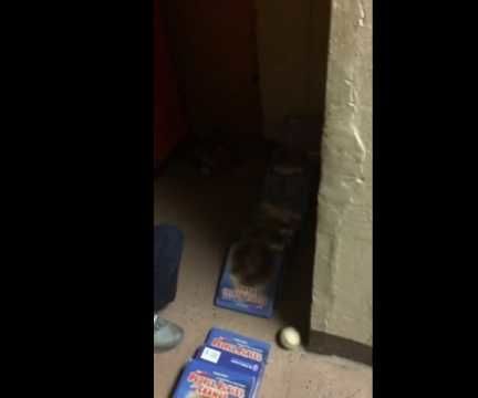 Flip the Switch Project