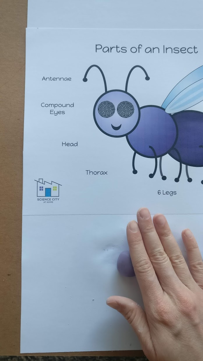 Build a Bug! : 4 Steps - Instructables