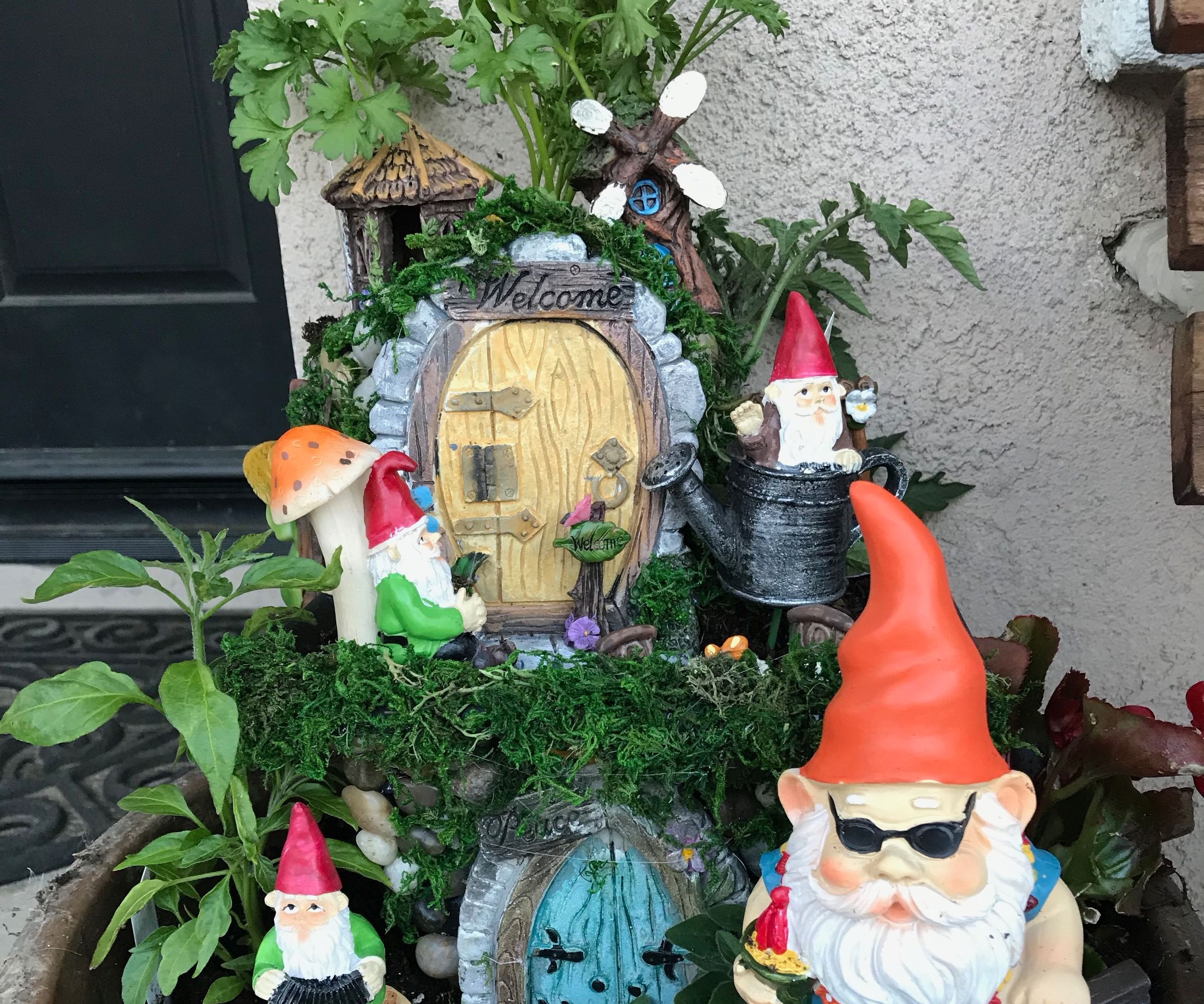 Enchanted Gnome & Fairy Garden 