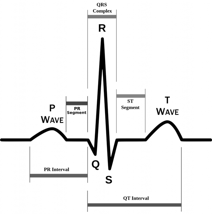 Arduino Based ECG & Heartbeat Monitoring Healthcare System : 8 Steps ...