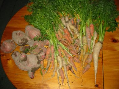 Fully-enclosed Crop-rotation Veggie Garden