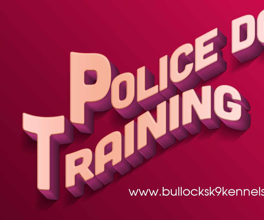Trained Police Dogs for Sale