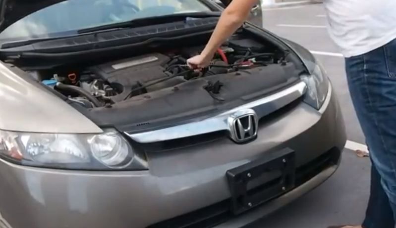 How To Keep Mice Out Of Your Car