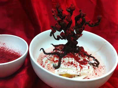 Chocolate Raspberry Tree