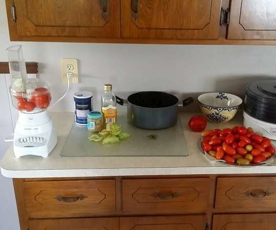 Easy Tomato Sauce