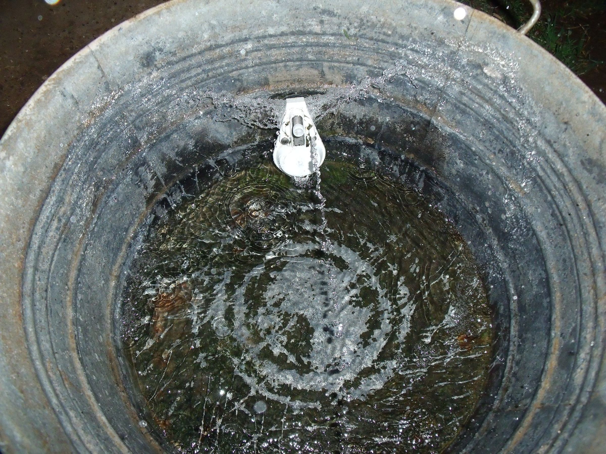 Self Filling Water Bowl 5 Steps Instructables