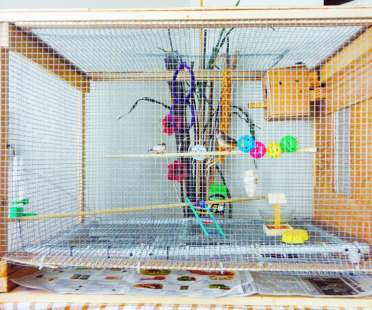 DIY Large Bird Cage Small Aviary 4 Steps Instructables