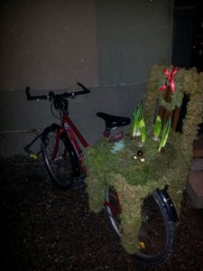 More Examples of Moss Decorations