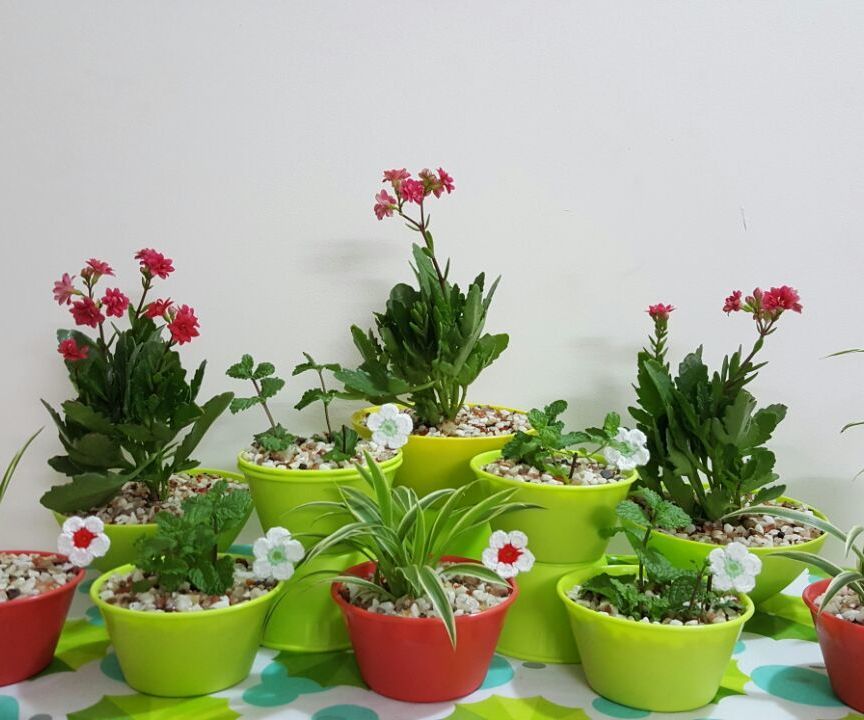 DIY Cute 'N' Little Indoor Plants 8 Steps (with Pictures) Instructables