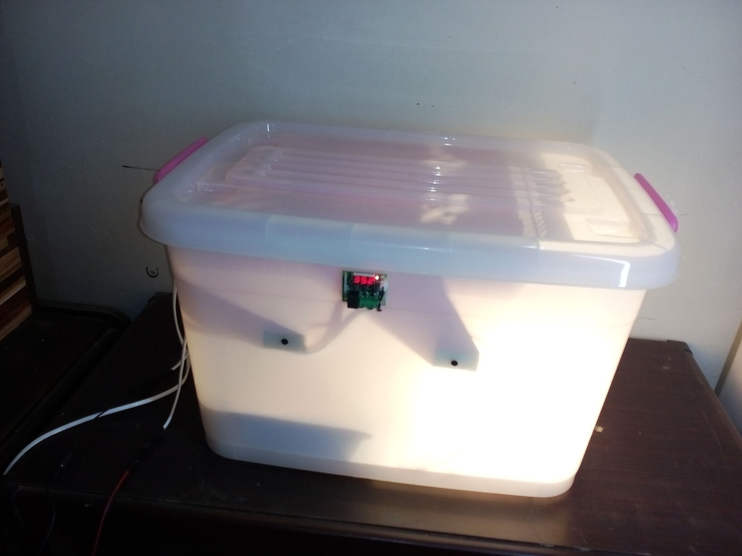 How to Make Homemade Incubator Egg Hatcher at Home 5 Steps (with
