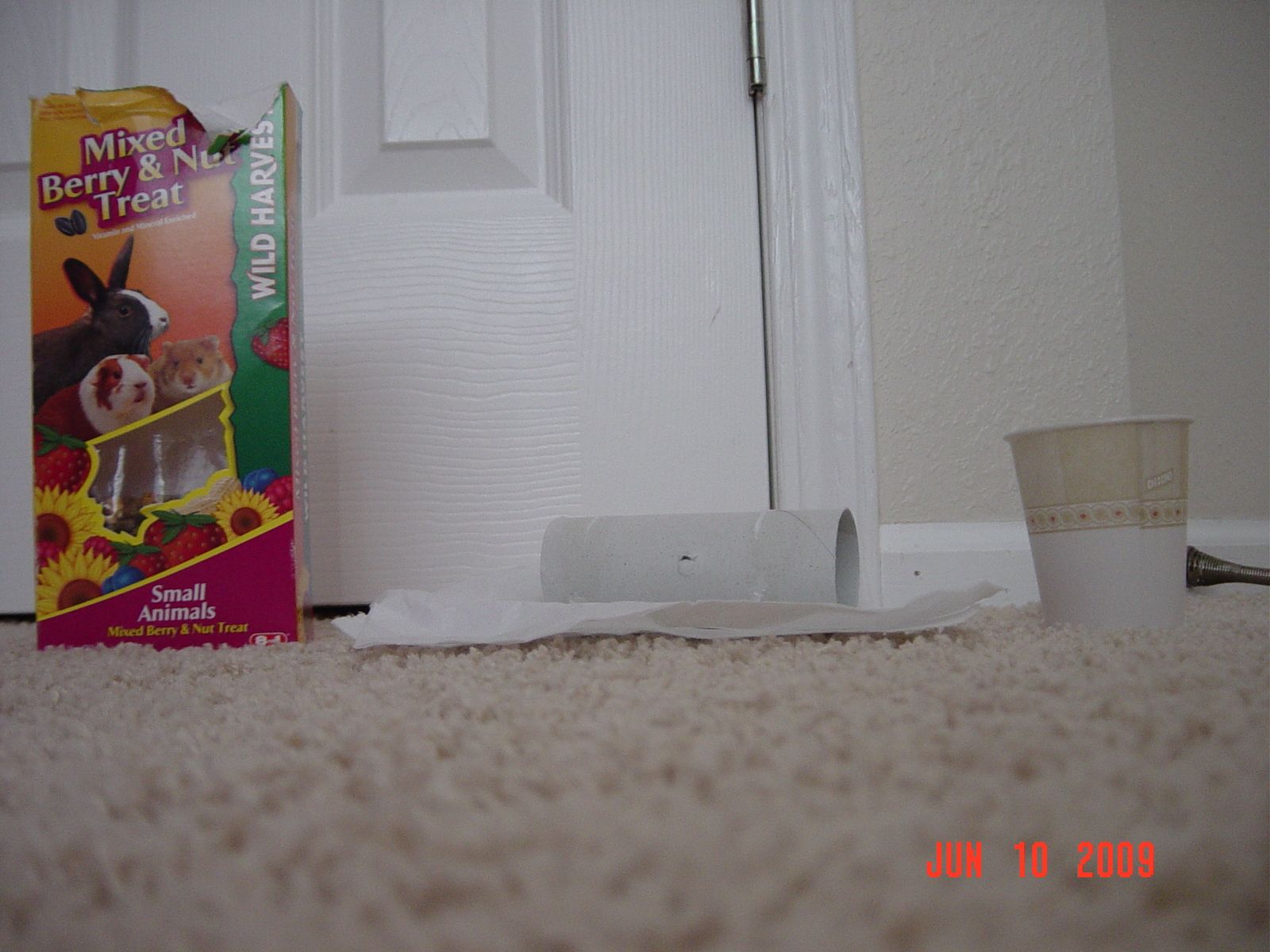 Homemade Gerbil Toy 4 Steps Instructables