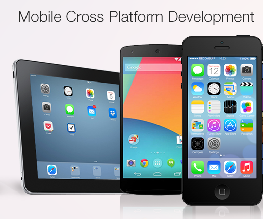 Cross Platform Mobile App Development