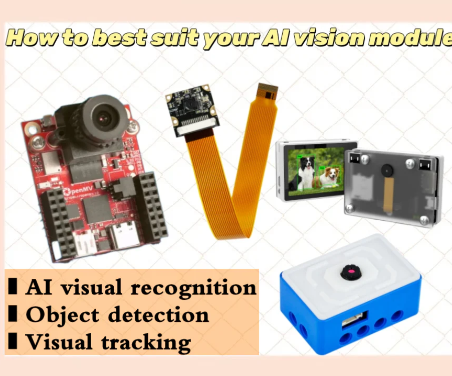 How to Best Suit Your AI Vision Module?