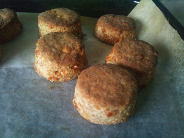 Cheesy Dog Biscuits!