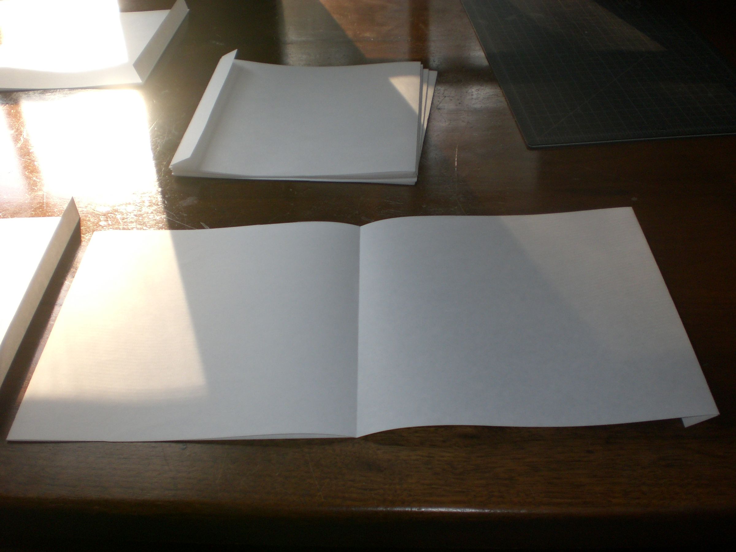 How to make an Accordion book