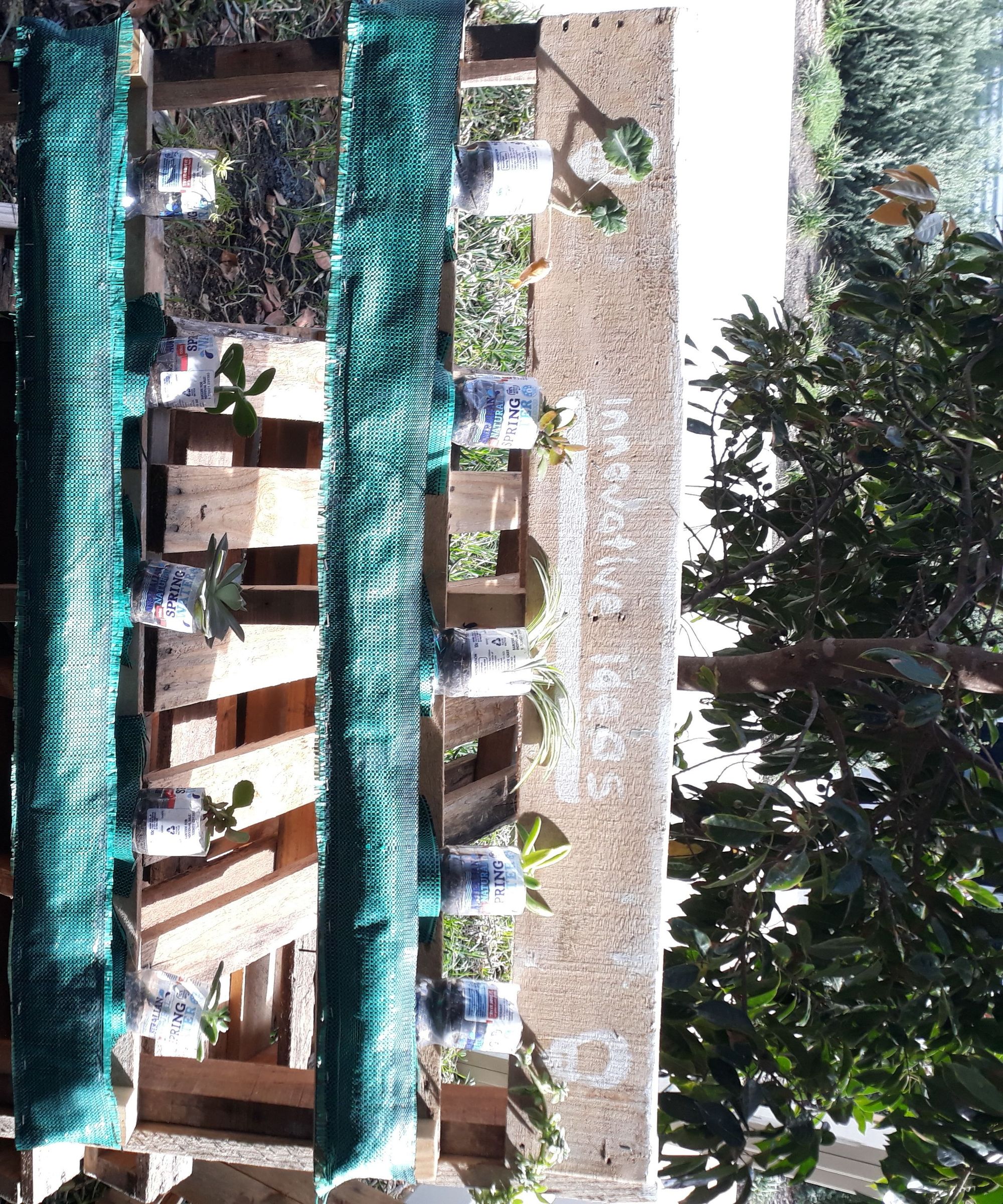 Vertical Garden Year 8
