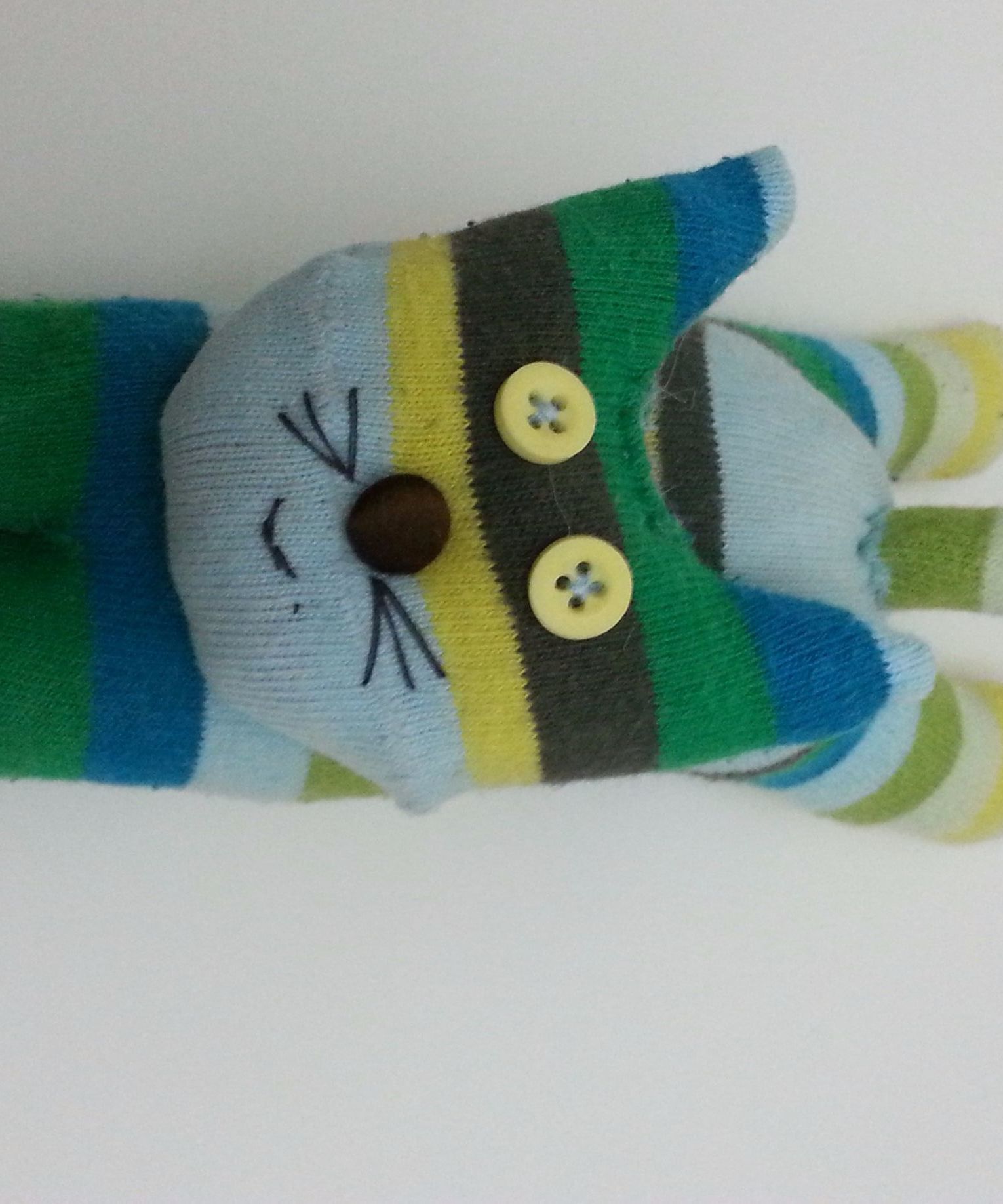 Cute Cat with a disability