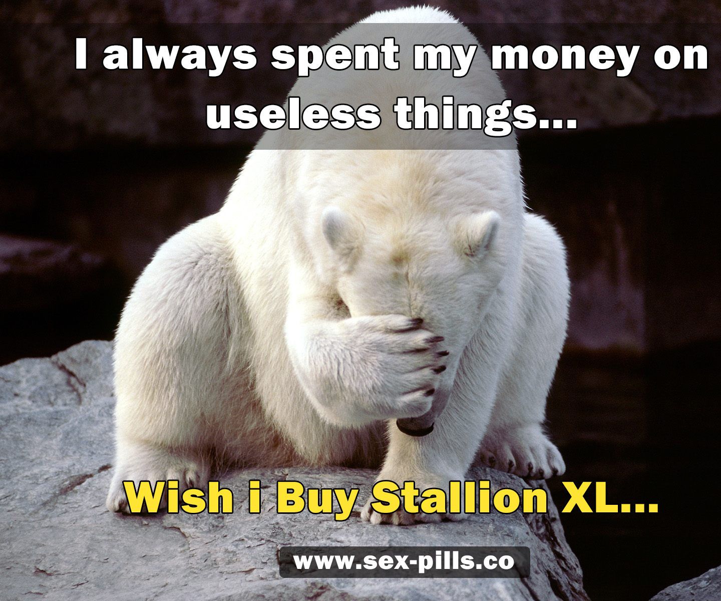 Where to Buy Stallion Xl