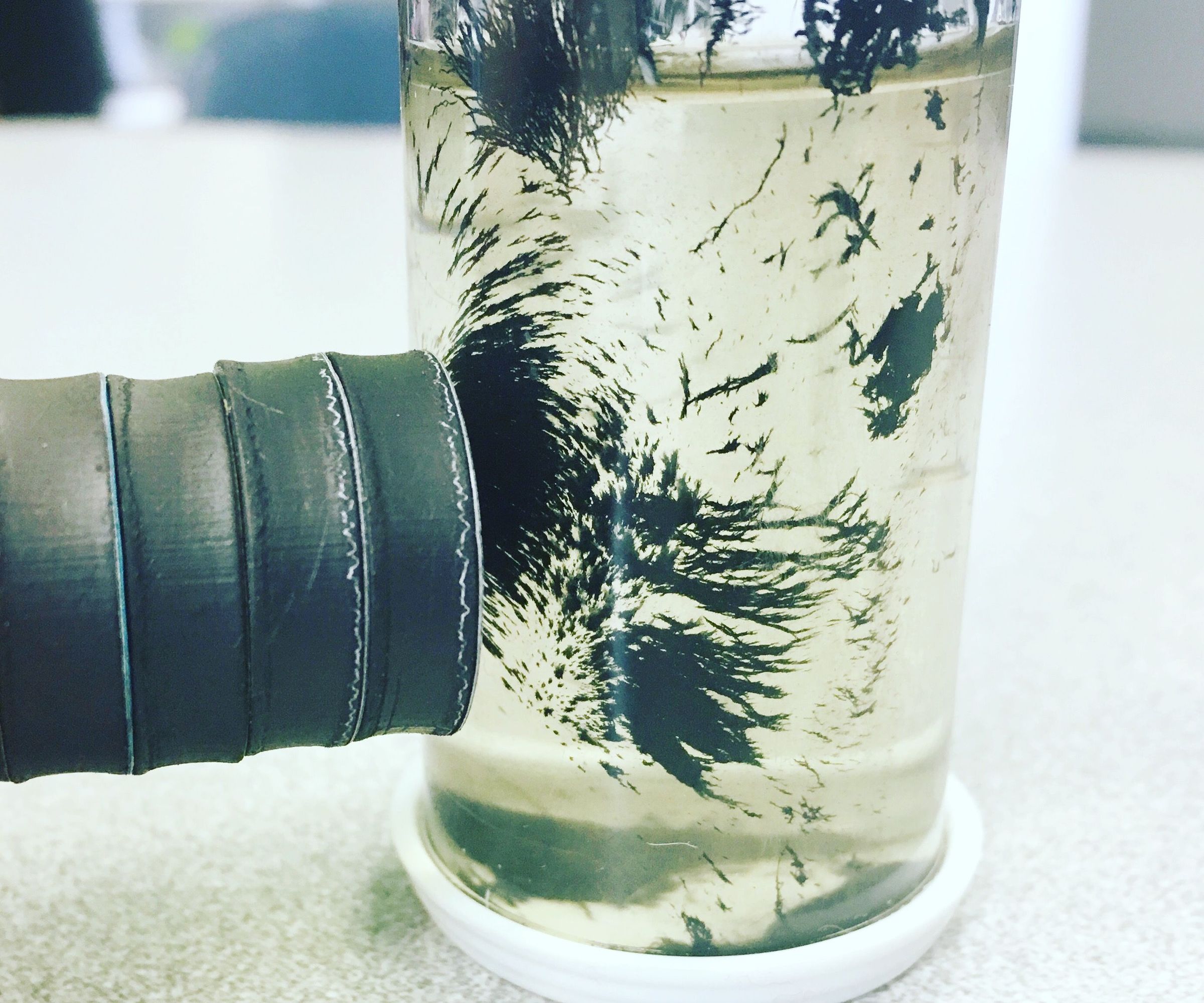 Homemade Ferrofluid