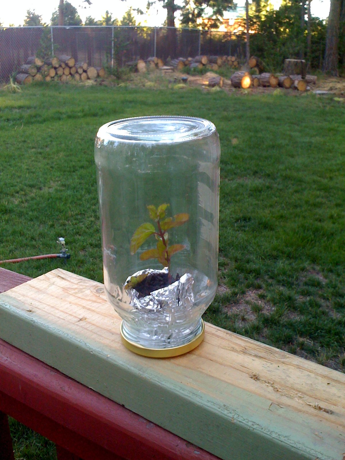 The GreenJar (Recycled Greenhouse for Spices and Seasonings)