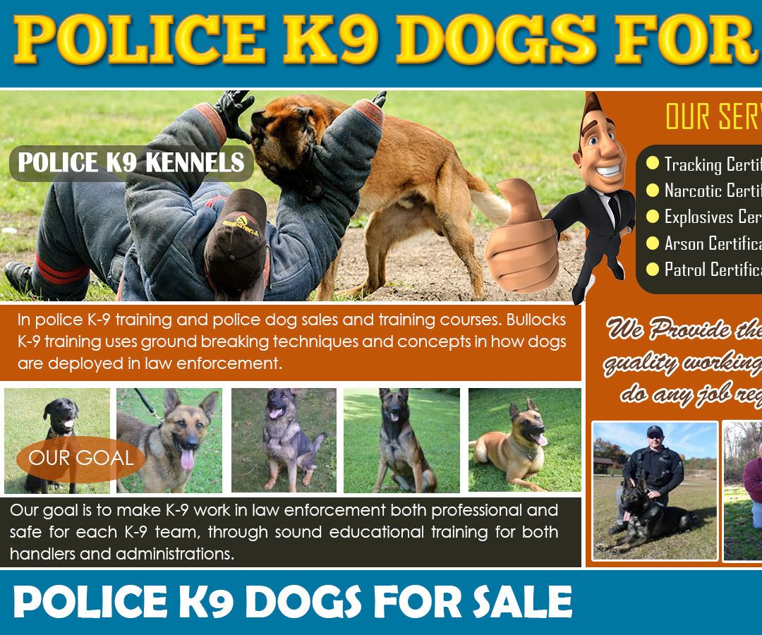   Police K9s for Sale