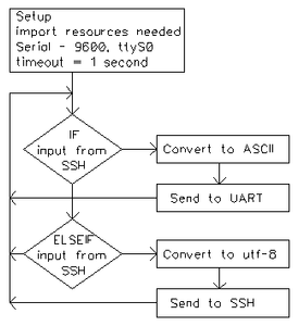 Raspberry Pi