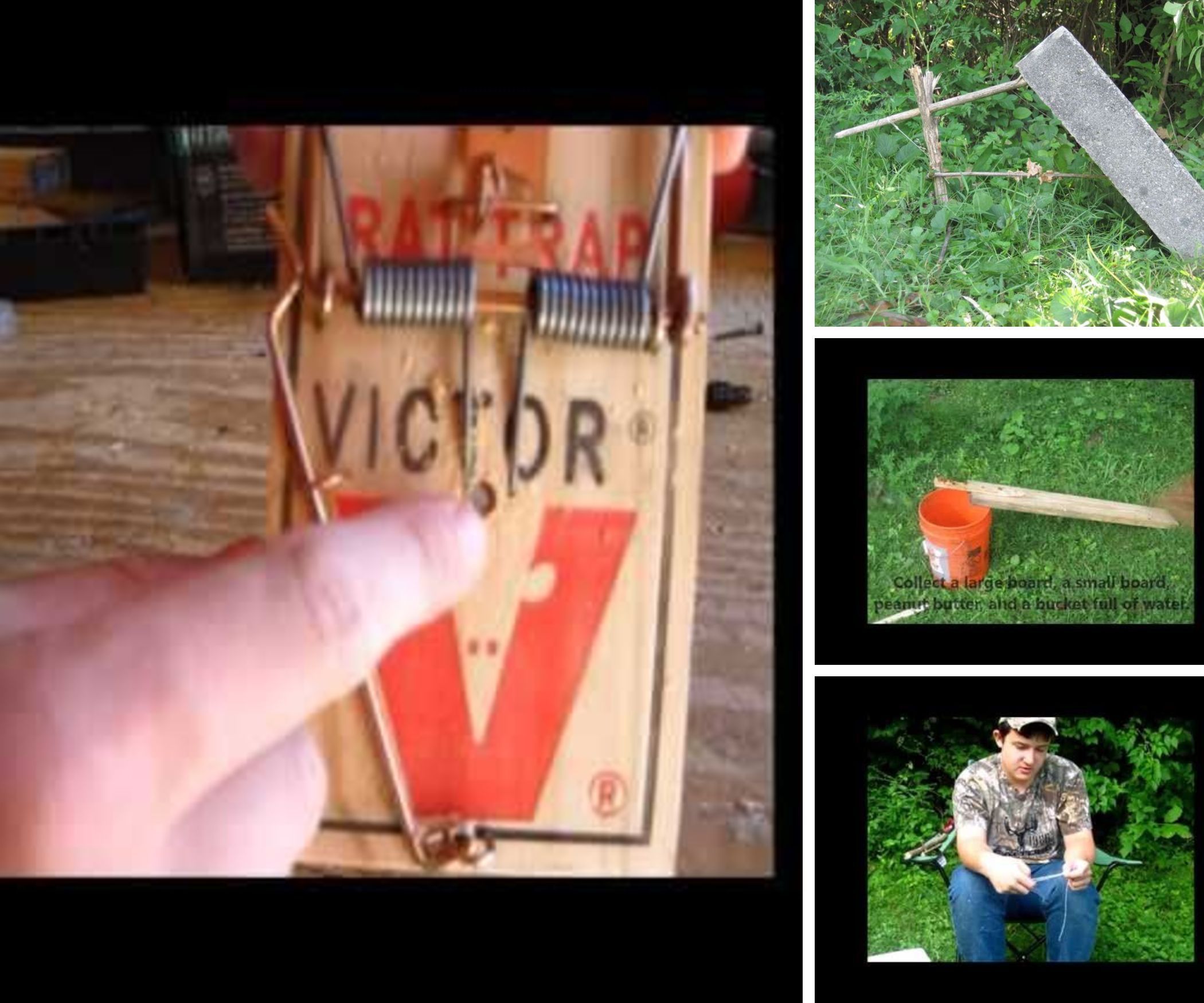 Traps & Snares