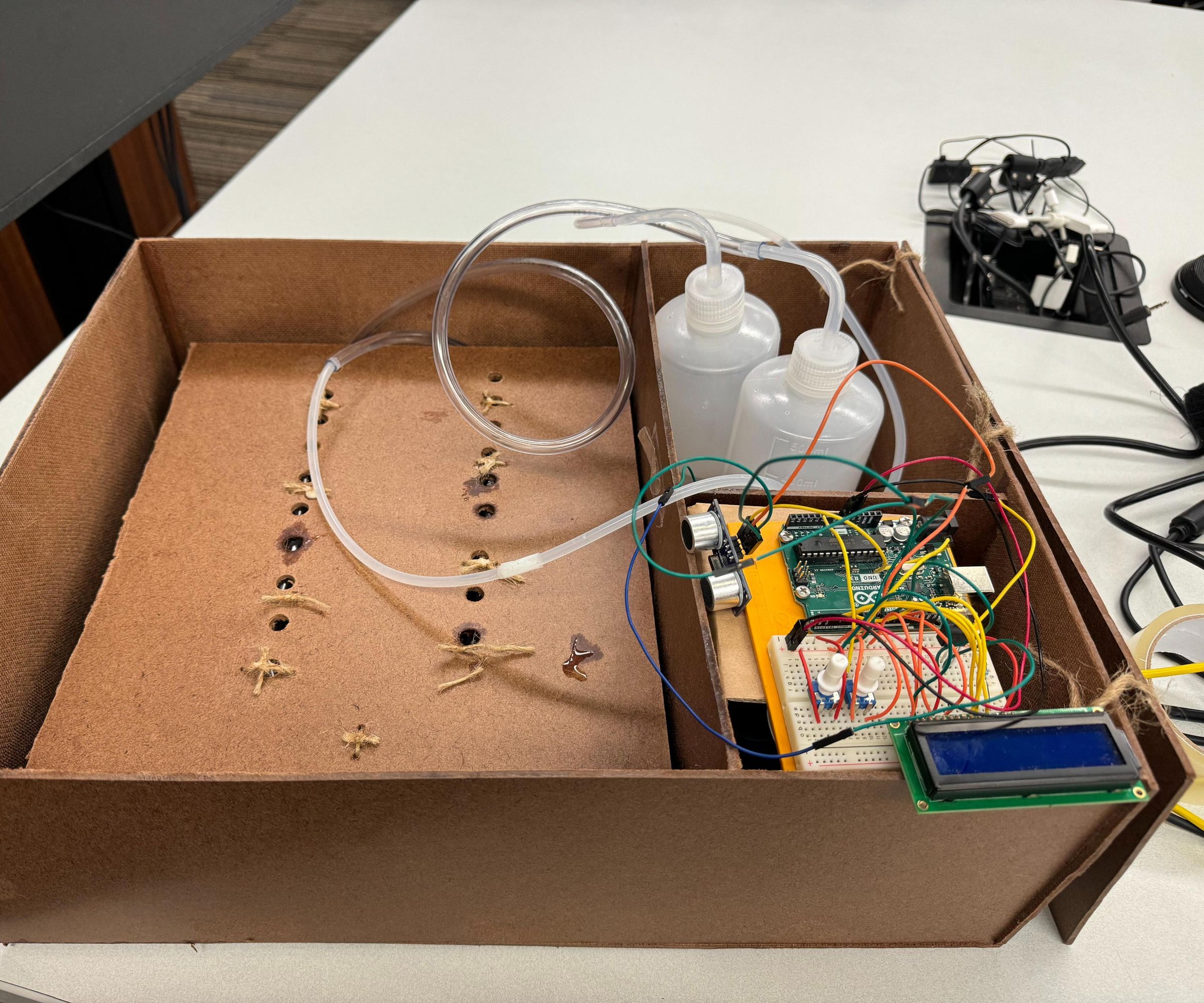 Shoe Sanitation System