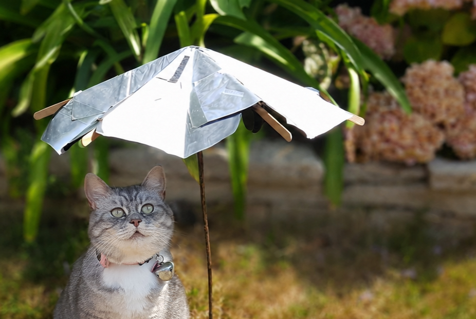 Summer Pet Parasol / Recycled Shade Canopy